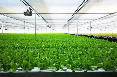 綠菱科技攜手恒熱集團，共繪農業種植技術新藍圖