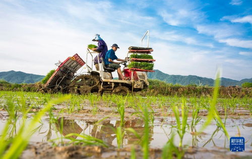 當前中國經濟十問 從宏觀大勢到農業技術創新的機遇與挑戰